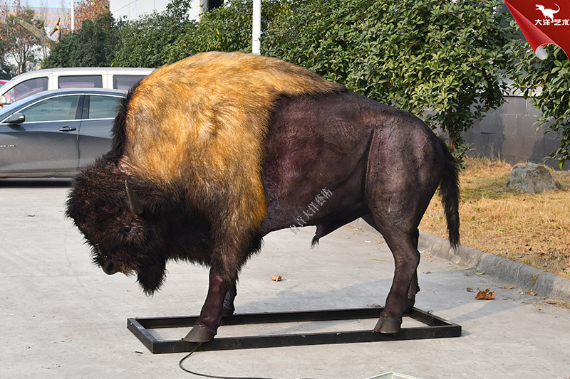 野牛仿真模型 粘毛動物仿真模型